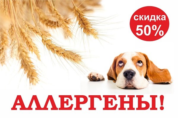 Аллергены июнь 2026 новость главная